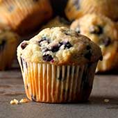 Blueberry Muffin